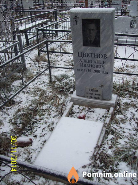 Цветнов Александр Иванович