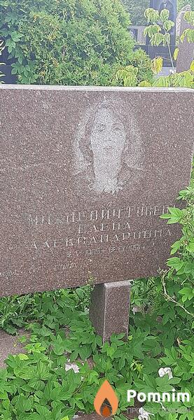 Михневичгусева Елена Александровна