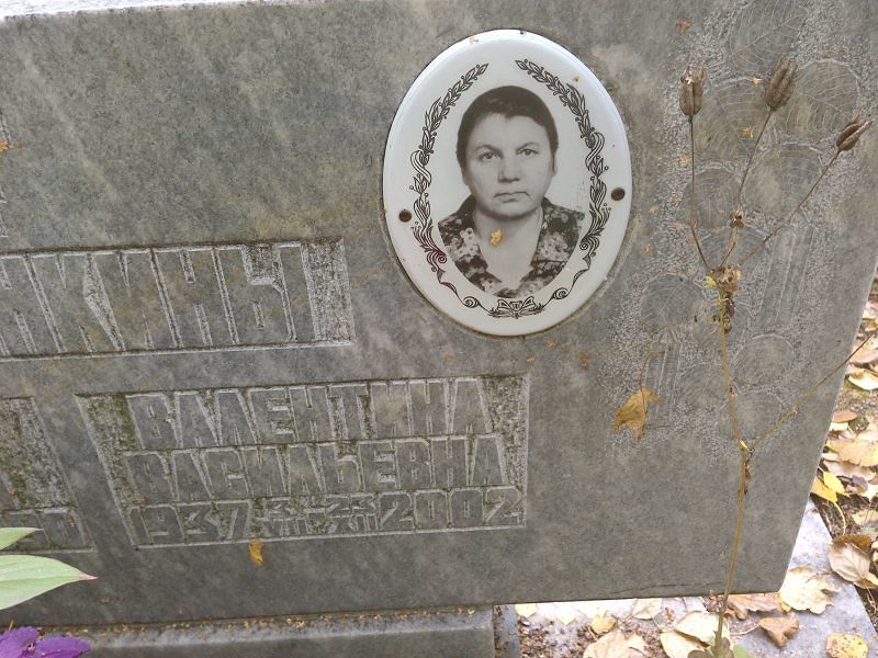 Ширинкина