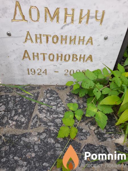 Домнич Антонина Антоновңа