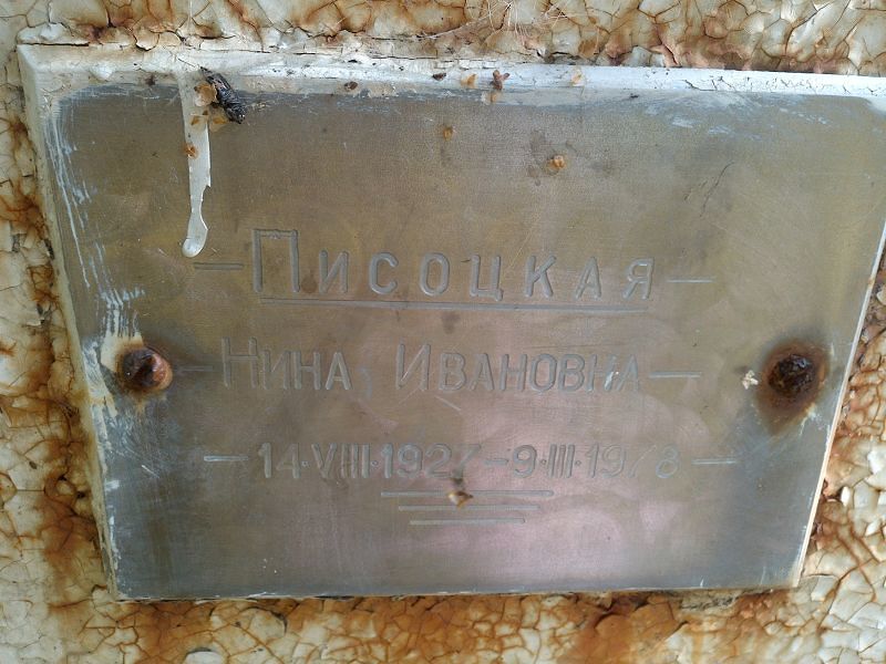 Писоцкая