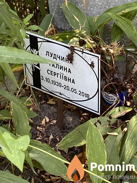 Лудчина Галина Сергівна