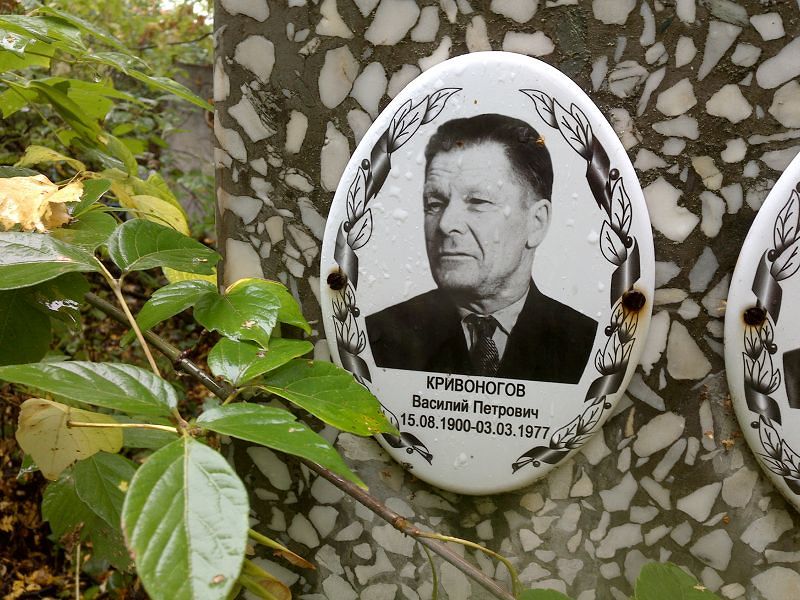 Кривоногов
