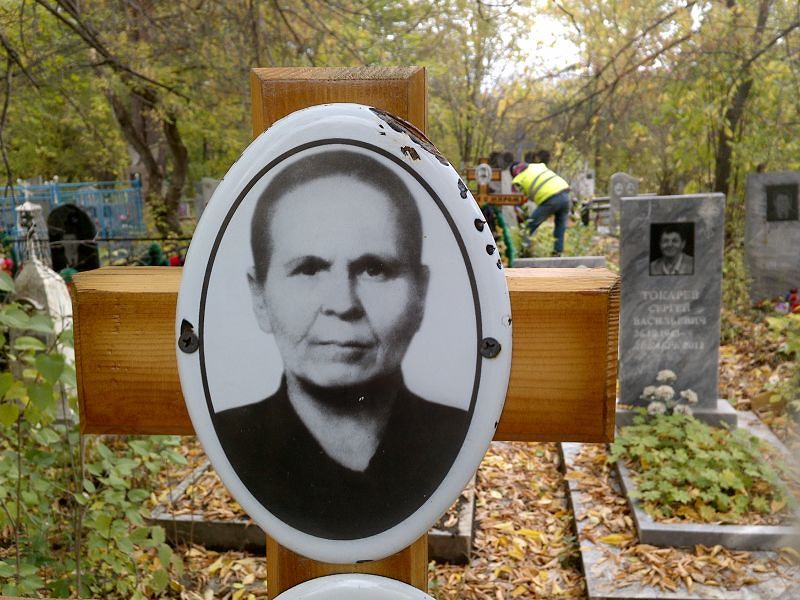 Шипицина