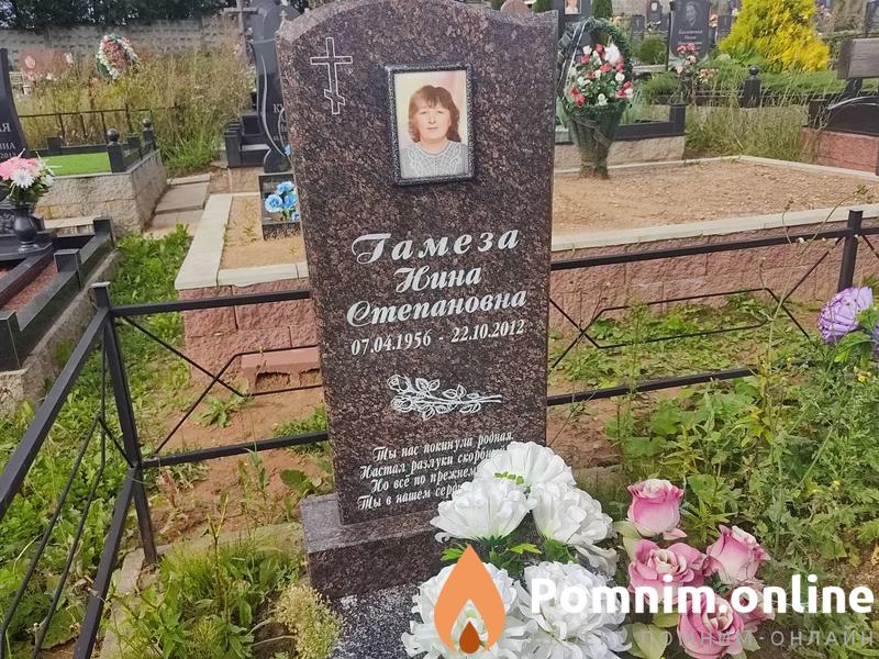 Гамеза Геннадий Михайлович