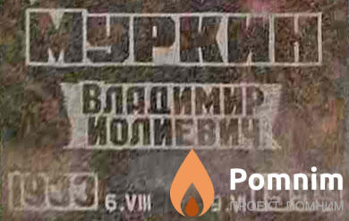 Муркин Владимир Иолиевич