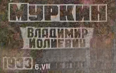 Муркин