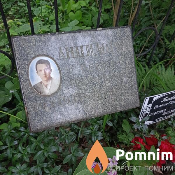 Анпилогов Виктор Григорьевич