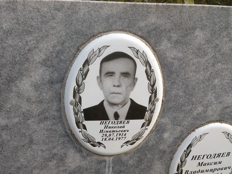 Негодяев