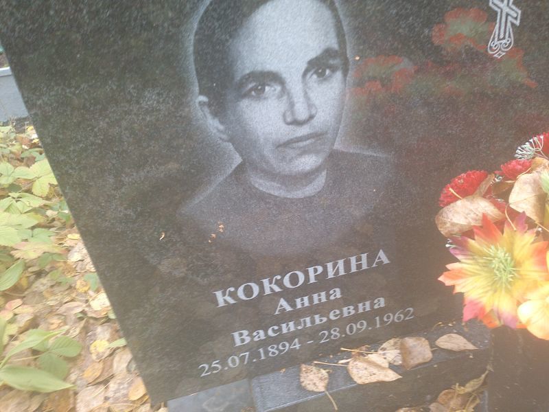 Кокорина