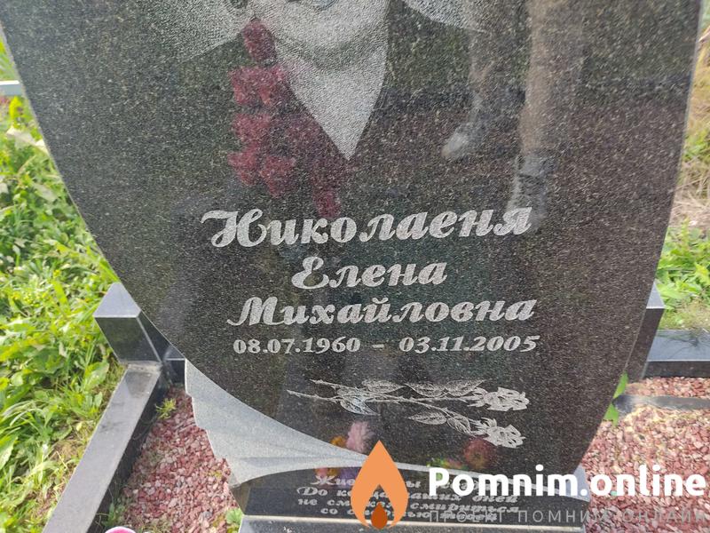 Николаеня Елена Михайловна
