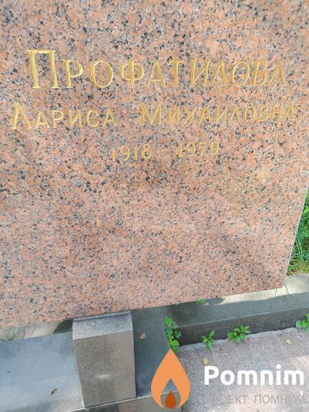 Профатилова Лариса Михайловна