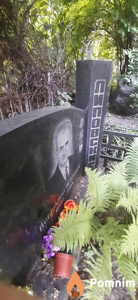 Липовский Всеволод Петрович