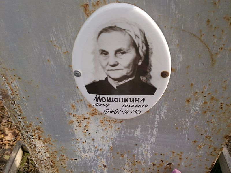 Мошонкина