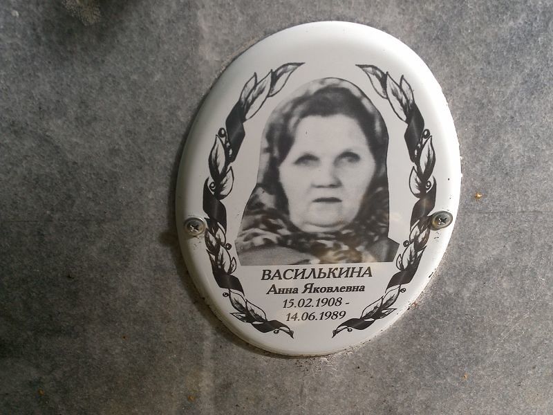 Василькина