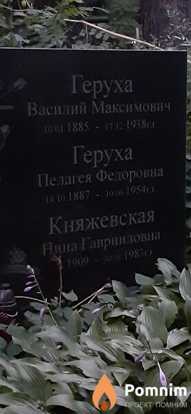Княжевская Нина Гаврииловна