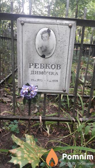 Ревков Дима 2391973