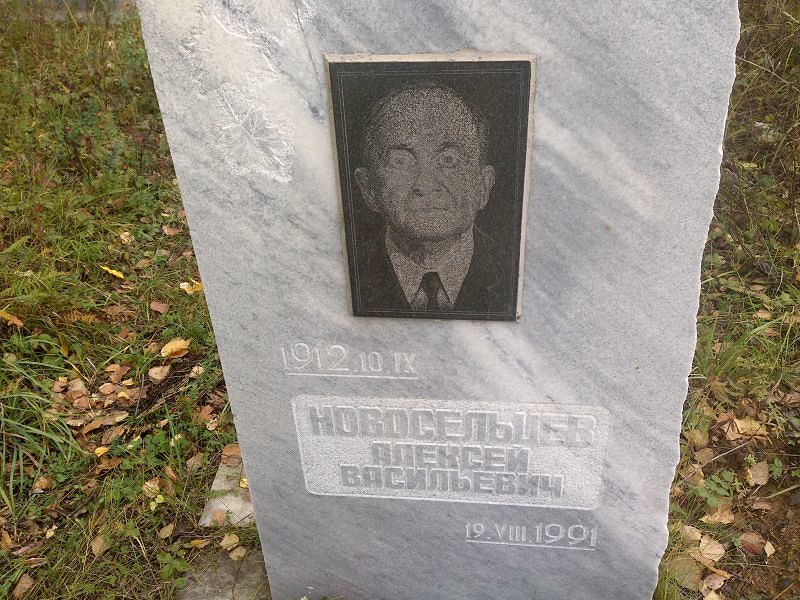 Новосельцев