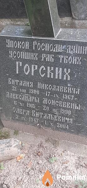 Горских Виталий Николаевич