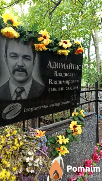 Адомайтис Владислав Владимирович