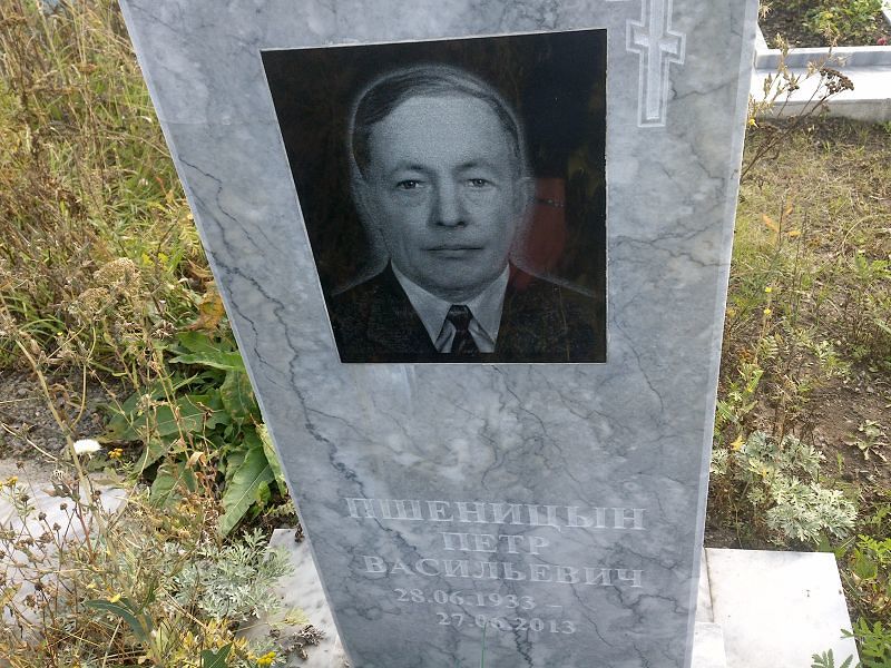 Пшеницын