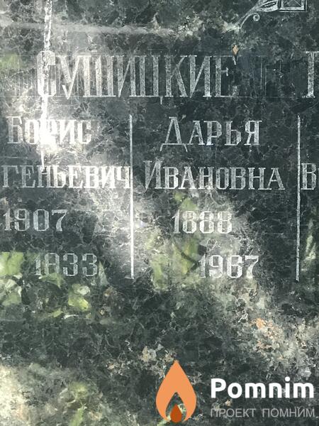 Сушицкая Дарья Викторовна