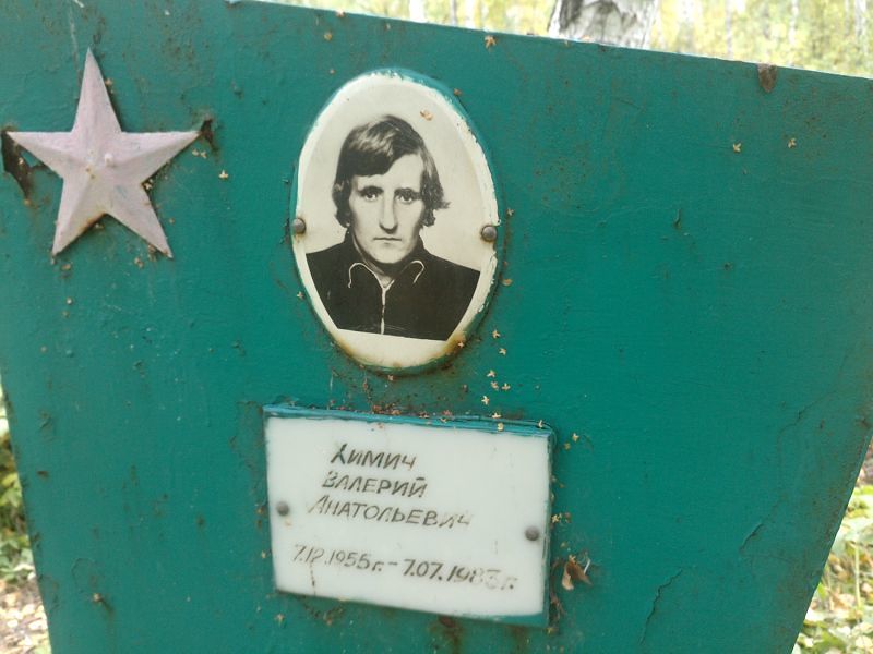 Химич