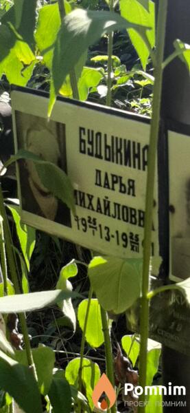 Будыкина Дарья Михайловна