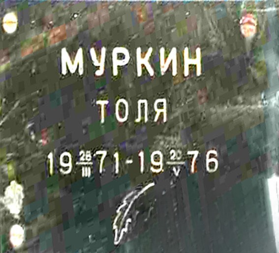 Муркин