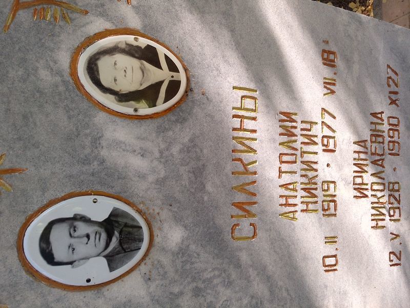 Силкин