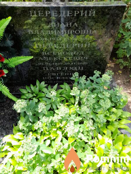 Передерий Всеволод Алексеевич