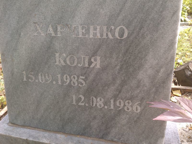 Коля Харченко