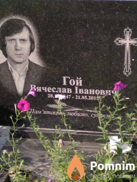 Гой Ячеслав Іванович