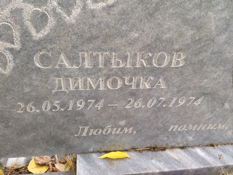 Димочка Салтыков