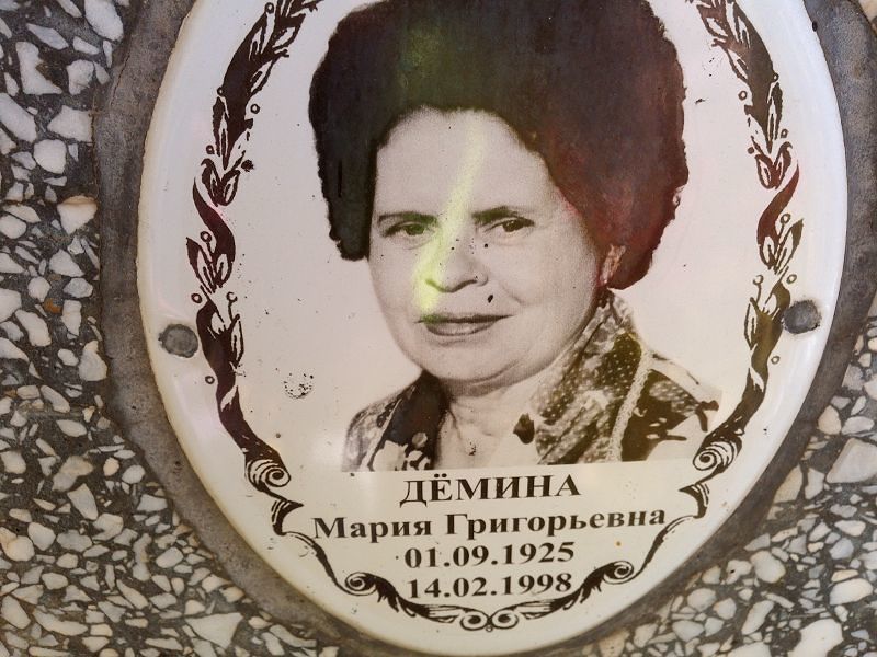 Демина