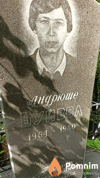 Буйвол Андрей