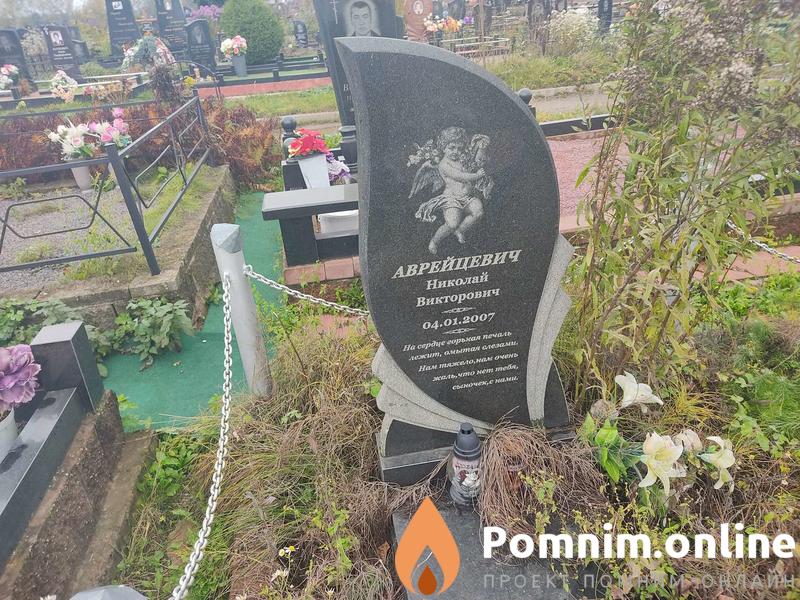 Аврейцевич Николай Викторович