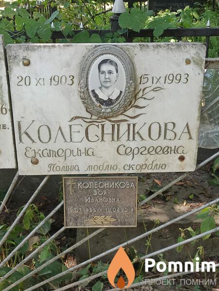 Колесникова Екатерина Сергеевна