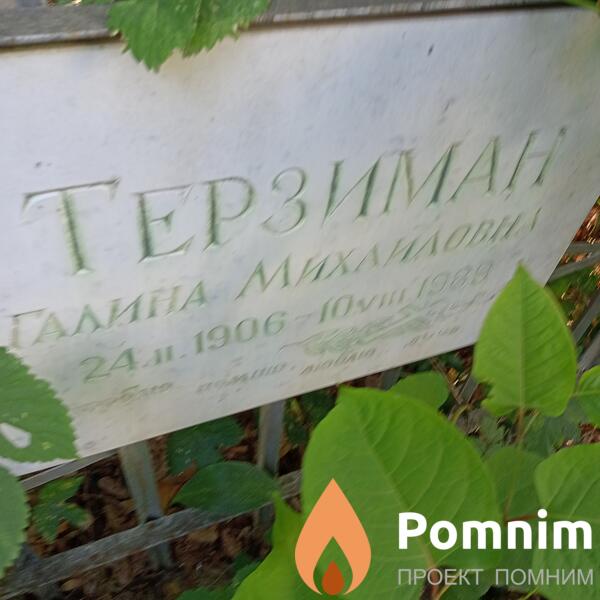 Терзиман Галина Михайловна