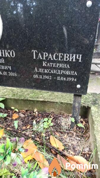 Тарасевич Катерина Александровна