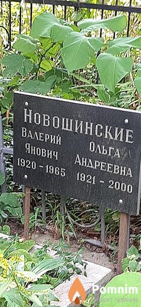 Новошиннская Ольга Андреевна