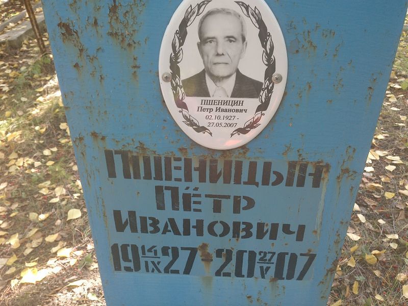 Пшеницын