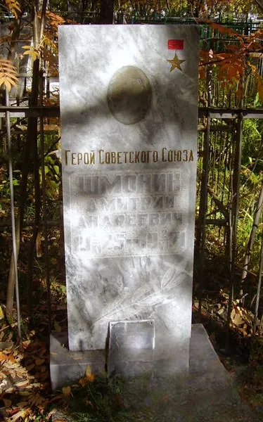 Шмонин Дмитрий
