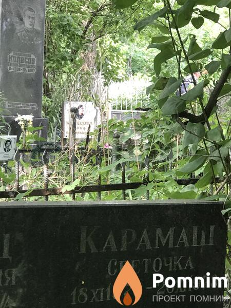 Кармаш Светлана