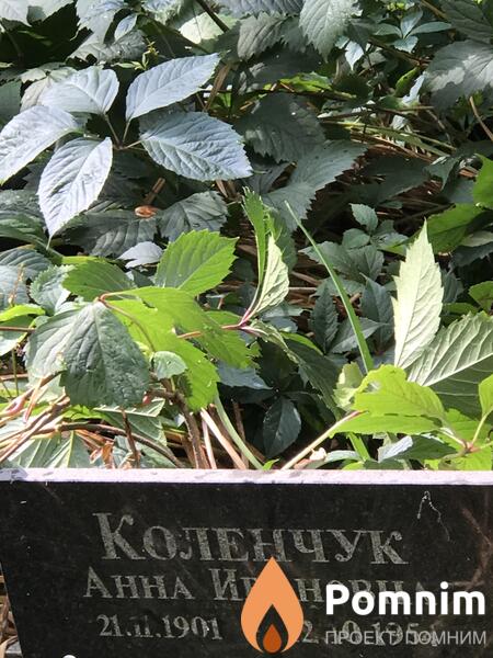 Коленчук Анна Ивановна