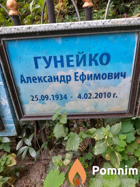 Гунейко Александр Ефимович