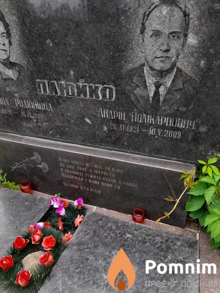 Плюйко Андрей Поликарпович