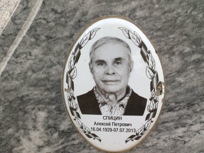 Спицин