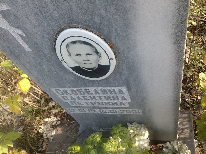 Скобелина