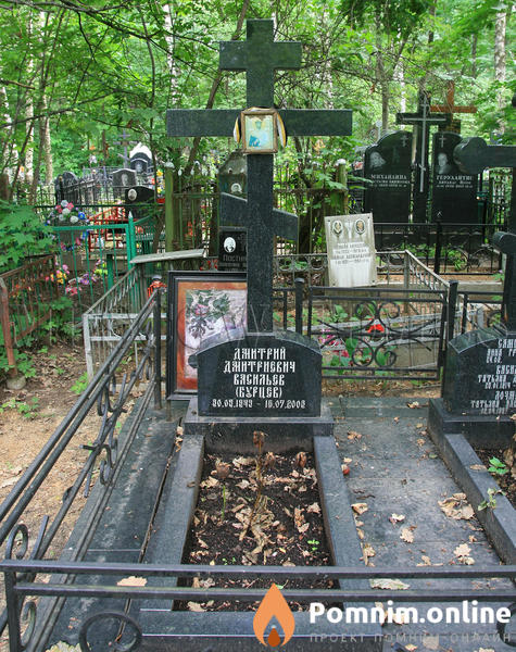 Васильев Дмитрий Дмитриевич